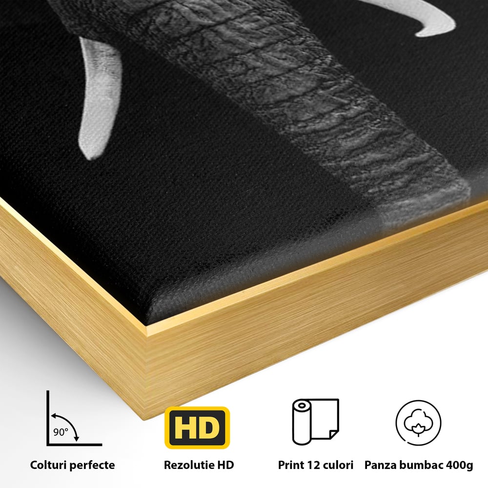 Detaliu al suprafetei: tablou canvas cu cap de elefant, in rama de aluminiu auriu